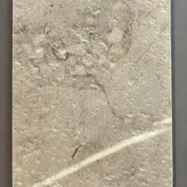   Lantai Vinyl TACO XL TV3041XL Texas Grey